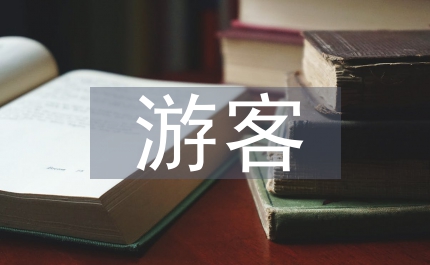 游客旅游方式