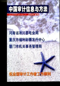 中國審計信息與方法
